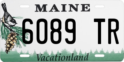 ME license plate 6089TR