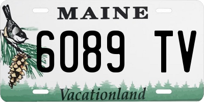 ME license plate 6089TV