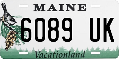 ME license plate 6089UK