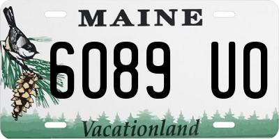 ME license plate 6089UO