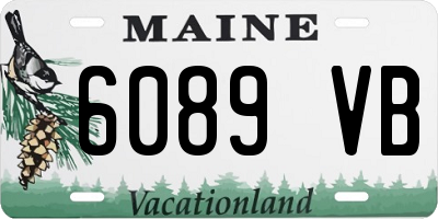 ME license plate 6089VB