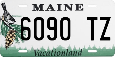 ME license plate 6090TZ
