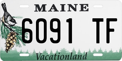 ME license plate 6091TF