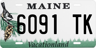 ME license plate 6091TK