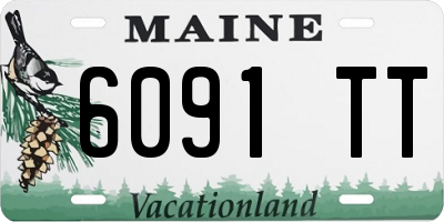 ME license plate 6091TT
