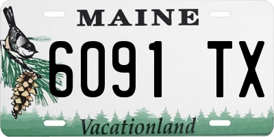 ME license plate 6091TX