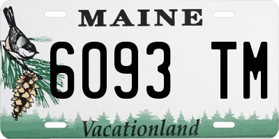 ME license plate 6093TM