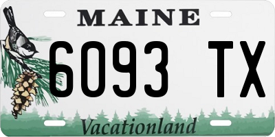 ME license plate 6093TX