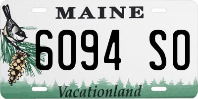 ME license plate 6094SO