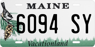 ME license plate 6094SY