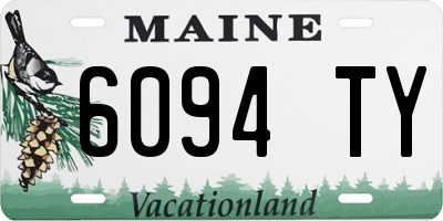 ME license plate 6094TY