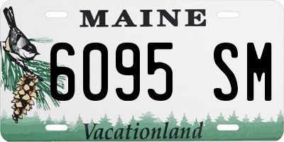 ME license plate 6095SM