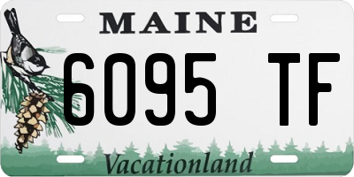 ME license plate 6095TF