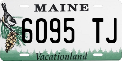 ME license plate 6095TJ