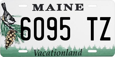 ME license plate 6095TZ