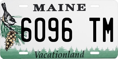 ME license plate 6096TM
