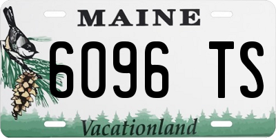 ME license plate 6096TS