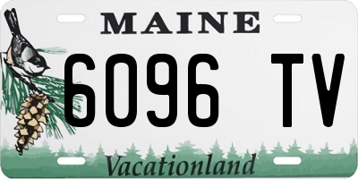 ME license plate 6096TV