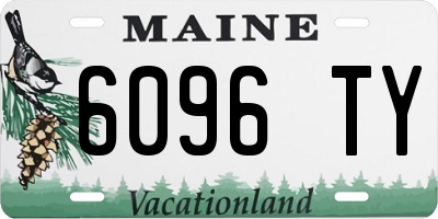 ME license plate 6096TY