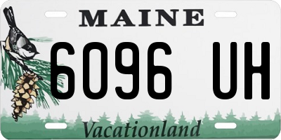 ME license plate 6096UH