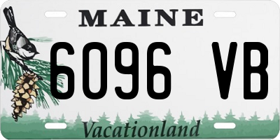 ME license plate 6096VB