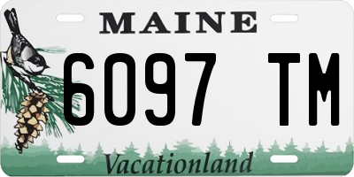ME license plate 6097TM