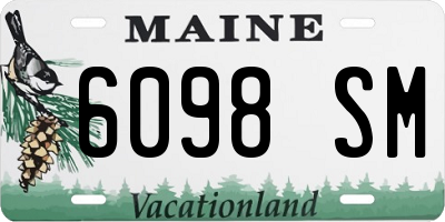 ME license plate 6098SM