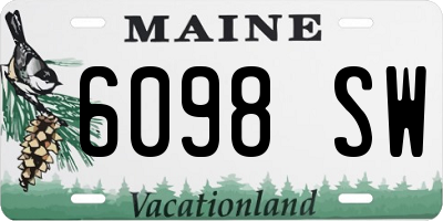 ME license plate 6098SW
