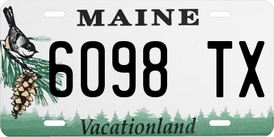 ME license plate 6098TX