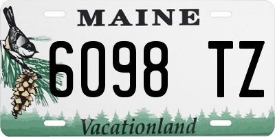 ME license plate 6098TZ