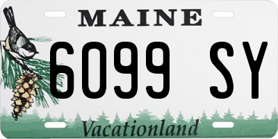 ME license plate 6099SY
