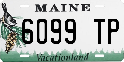 ME license plate 6099TP