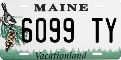ME license plate 6099TY