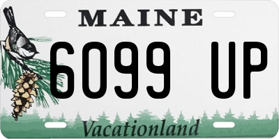 ME license plate 6099UP