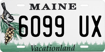ME license plate 6099UX