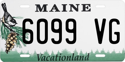 ME license plate 6099VG