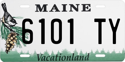 ME license plate 6101TY