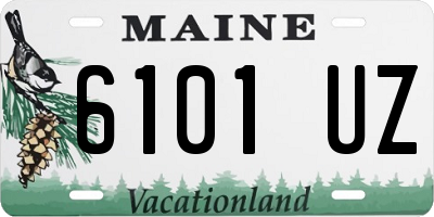 ME license plate 6101UZ