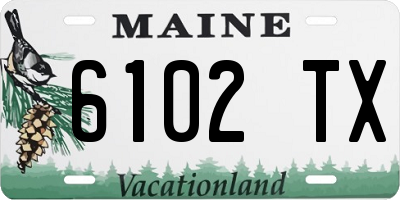 ME license plate 6102TX