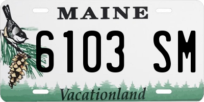 ME license plate 6103SM