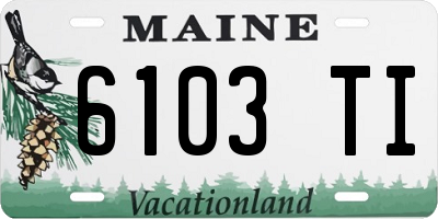 ME license plate 6103TI
