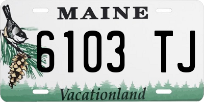 ME license plate 6103TJ