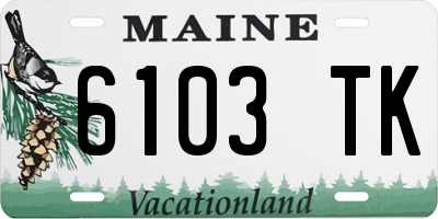 ME license plate 6103TK