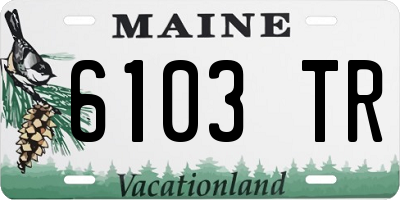 ME license plate 6103TR