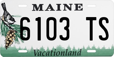 ME license plate 6103TS