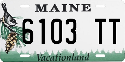 ME license plate 6103TT