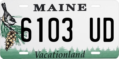 ME license plate 6103UD