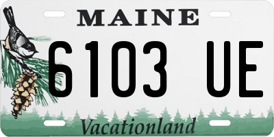 ME license plate 6103UE