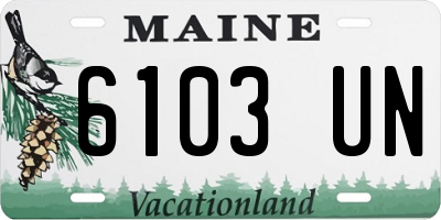 ME license plate 6103UN