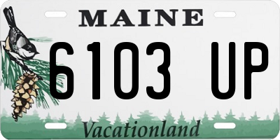 ME license plate 6103UP